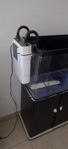 Moulded Glass Aquarium with stand ,External Filter, small light - Good Condition 60 cm × 30 × 40 cm