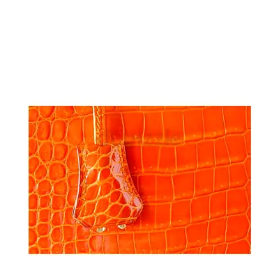Mastercopy of Hermes Kelly 25 | H CROCODILE LEATHER BAG