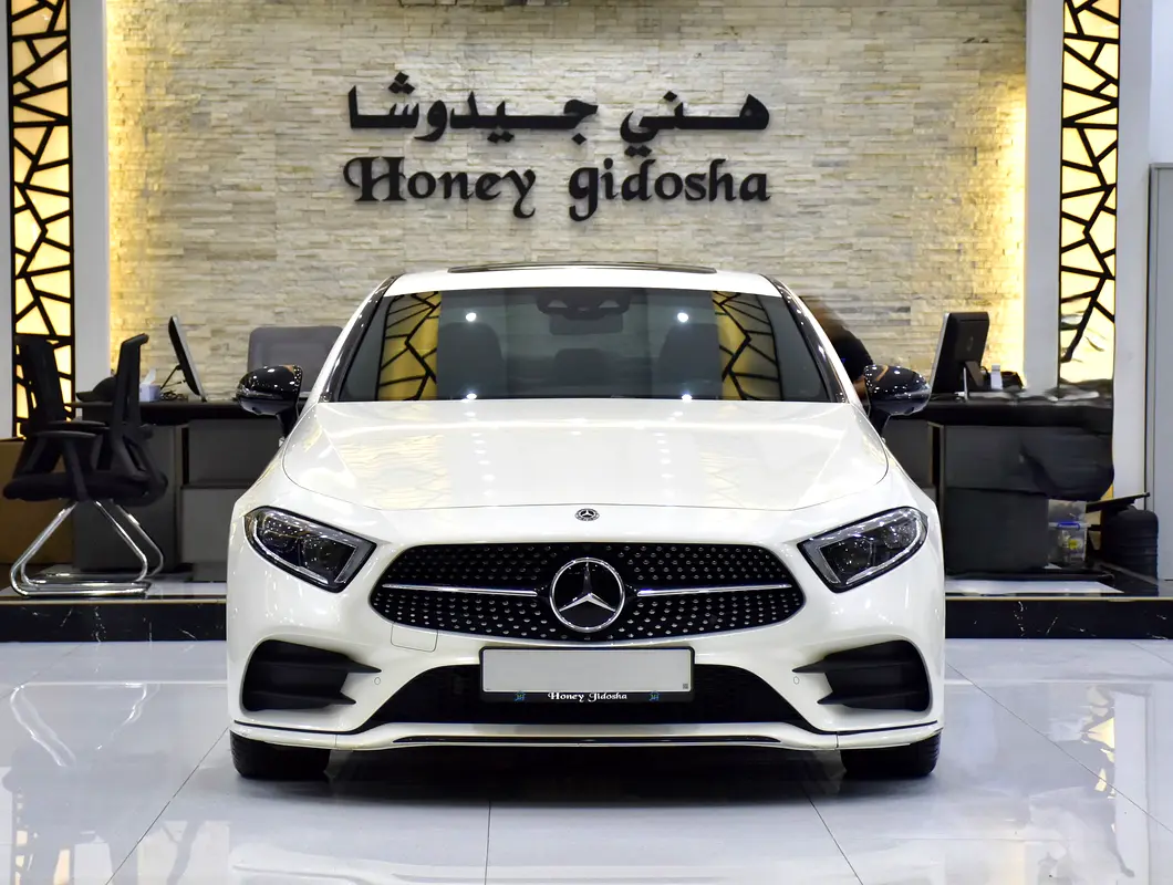 Mercedes-Benz CLS-Class 2019 — photo 1 of 20