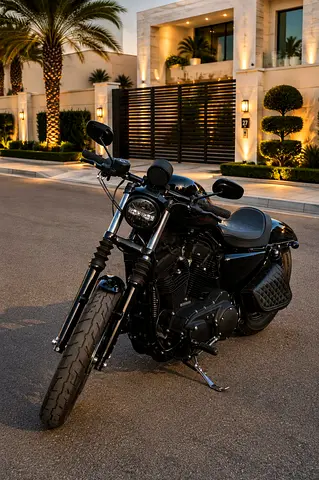 Harley Davidson Sportster 48