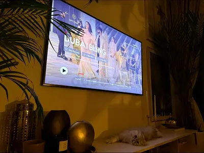Samsung Frame 55-inch LED Smart TV