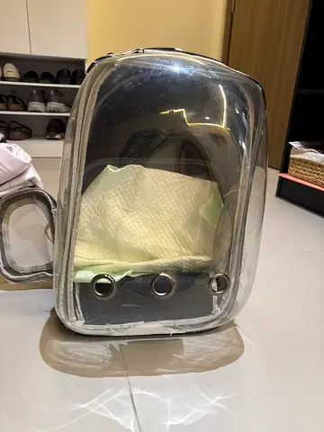 Classifieds: Transparent Bubble Pet Carrier Backpack — Good Condition ...