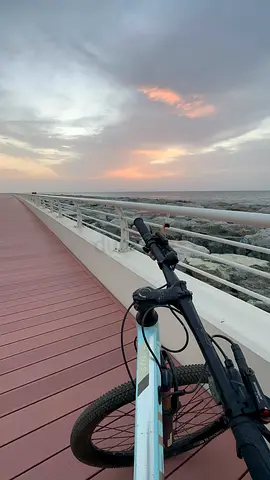 Bike road baby blue color Stella 🚴🏽‍♀️