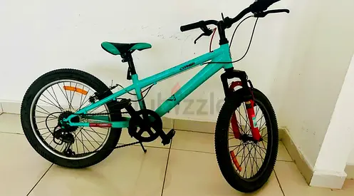 Spartan 20 inch Bicycle for sale