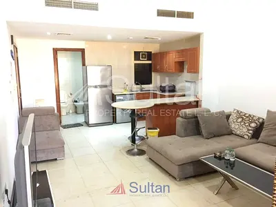Beautiful Furnished Studio Avail December Mid
