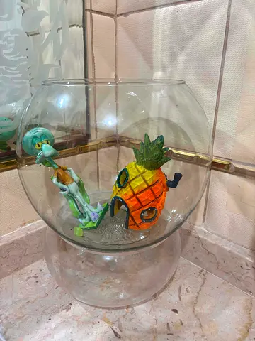 50 AED - Large Size Fish Bowl (Free Squidward and Pineapple House of Spongebob)