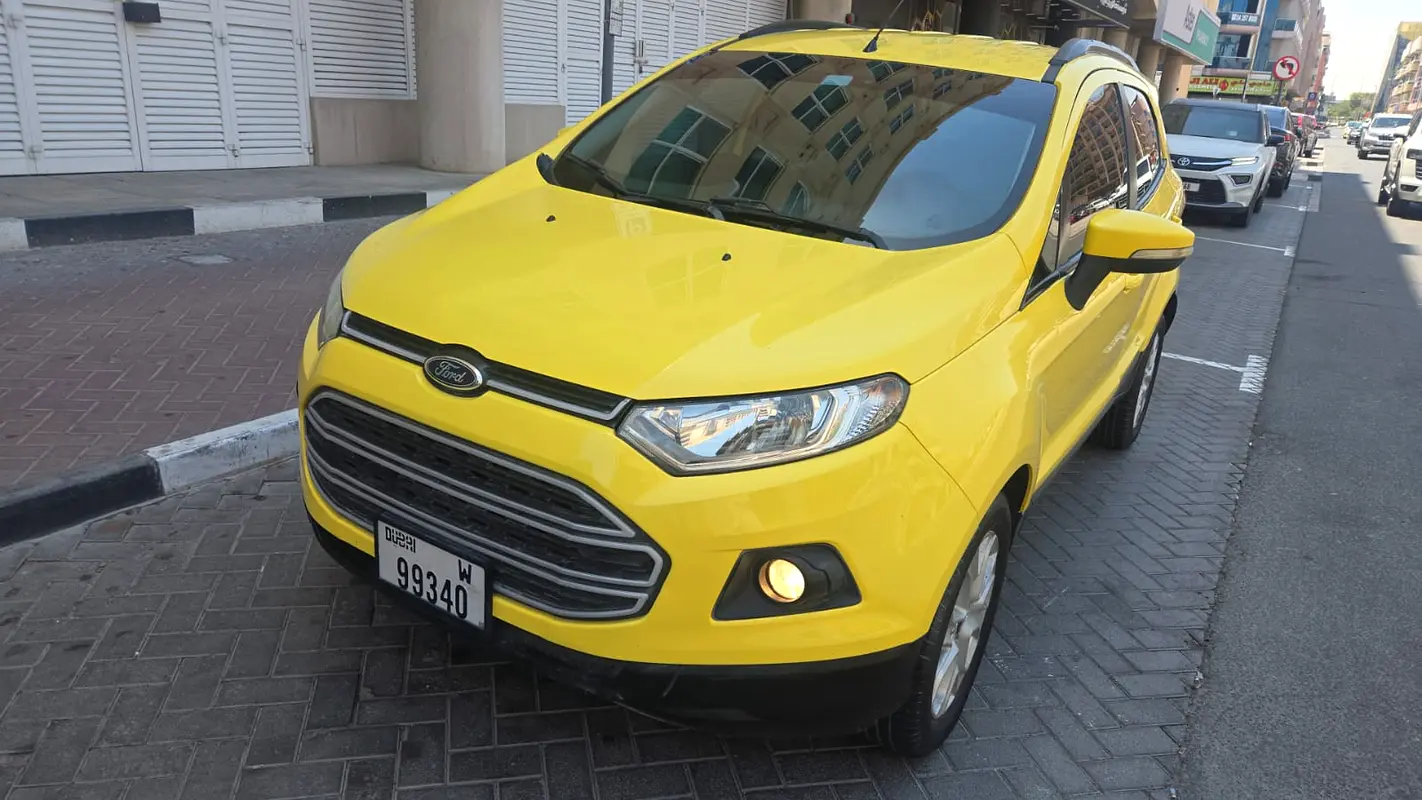 Ford Ecosport 2015 — photo 1 of 18