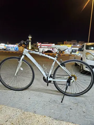 Aluminium bike