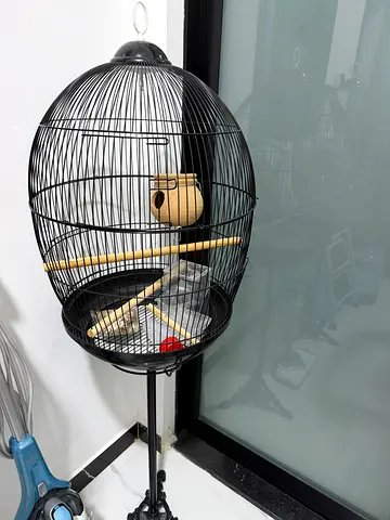Black metal bird cage with stand and accessories - good condition