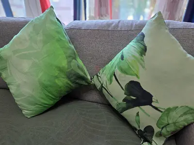 Cushion Cover (Set of Two)