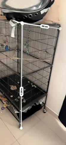Parrot Accessories for Sale