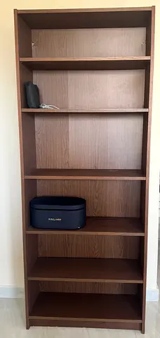 Ikea Billy Bookcase