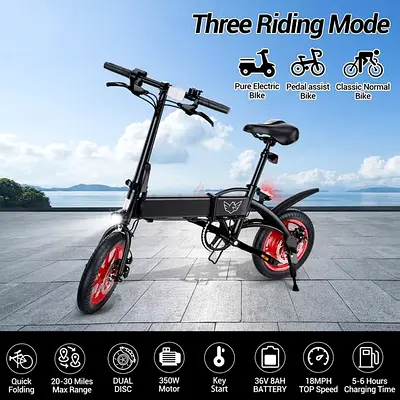 Wind Horse Folding Electric Bike, C19 - 1 Year Warranty