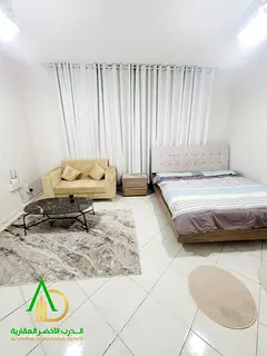 Furnished studio for monthly rent—first occupancy. Features a separate kitchen and excellent finis