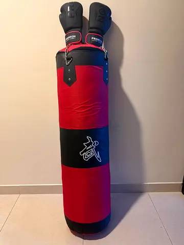 Punching bag with Gloves