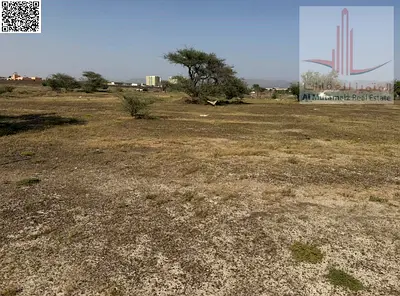 للبيع – قطعة أرض سكني استثماري في إمارة عجمان – المنامة 5