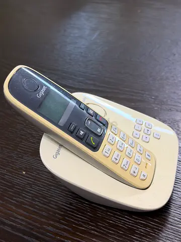 Gigaset A495