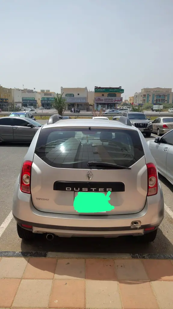 Renault Duster 2014 — photo 1 of 4