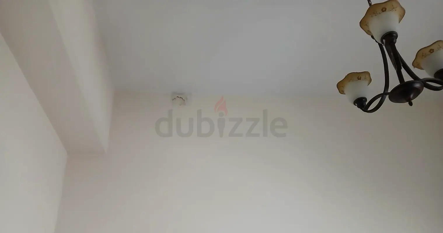 DPV_View_Image_2