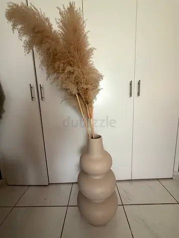 Vase + pampas