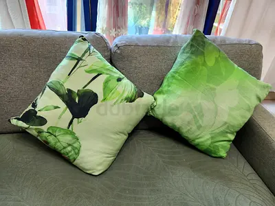 Two Cushion ( Set of two cushion with cover)