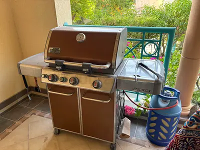 Weber Genesis Gas Grill