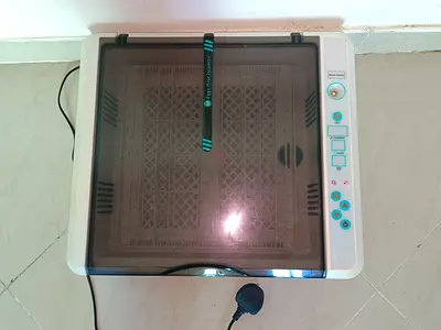 Urgent: 36 eggs incubator