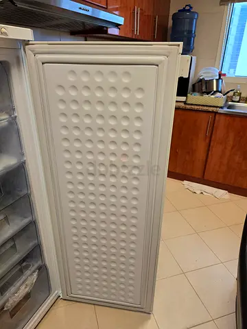 Used Upright Freezer - Good Working Condition