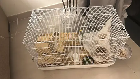 Hamster cage with accessories 60 cm