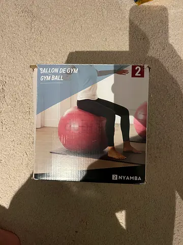 Nyamba Gym/Exercise Balls size #2