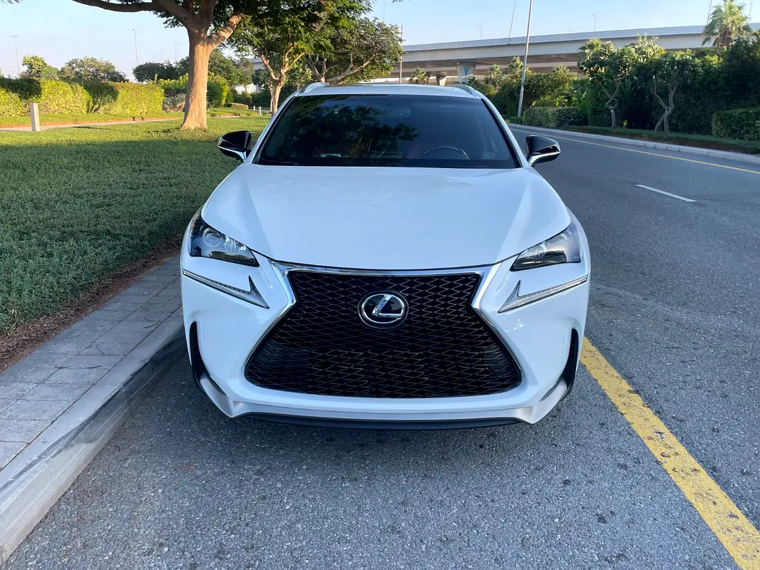 Lexus NX-Series 2016 — photo 1 of 14