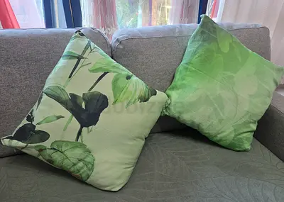 Cushion Cover (Set of Two)