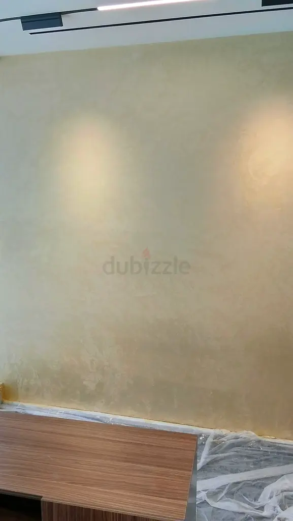 DPV_View_Image_1