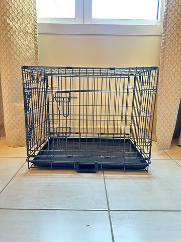 Dog and cat  house