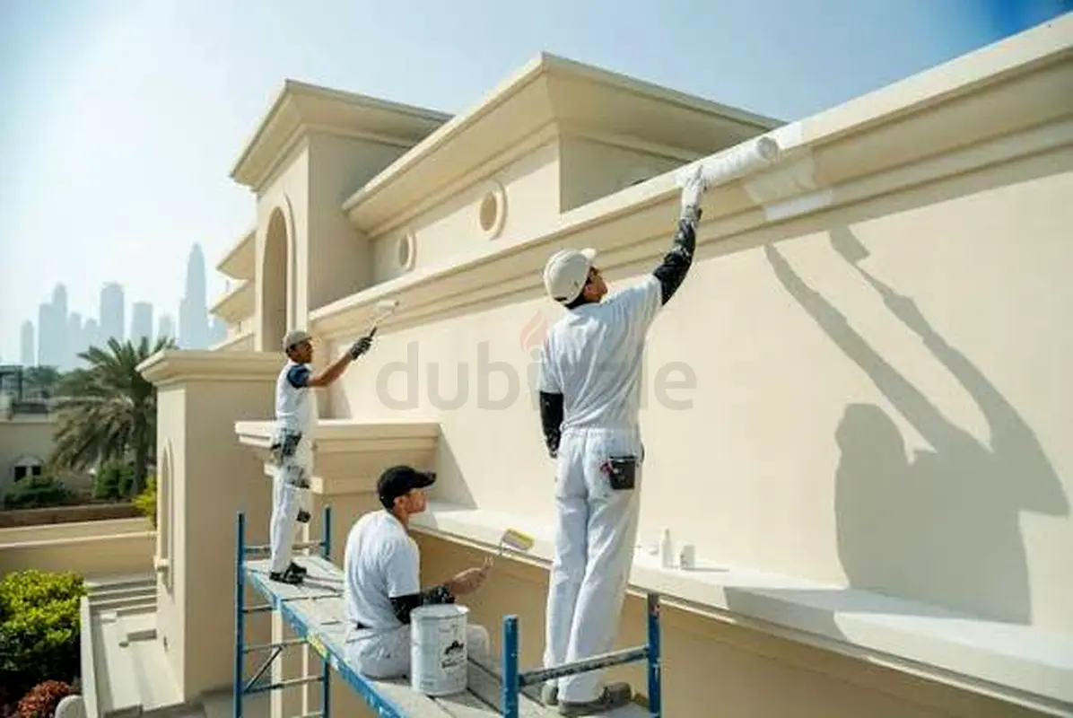 DPV_View_Image_2