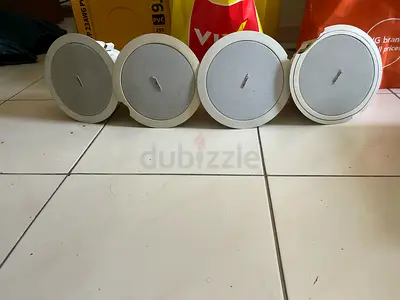 Bose Ceiling Speakers