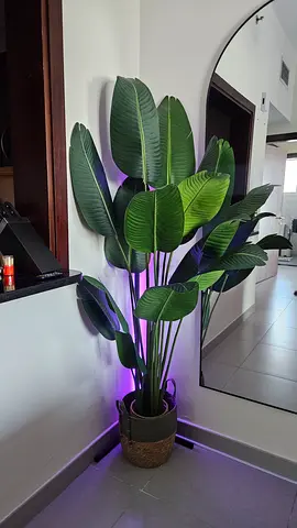 Artificial Plant with Basket