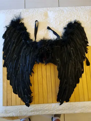 Black Feather Costume Wings (Kids) - Lightly Used