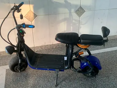 Electric Bike ( Coco  Harley). Battery replacement is recommended