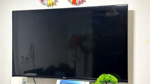 Television