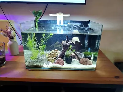 Equrium 40x25x23cm with accessories