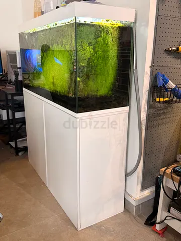 Large Planted Aquarium with White Cabinet Stand - Ready Setup including  2 canister filter