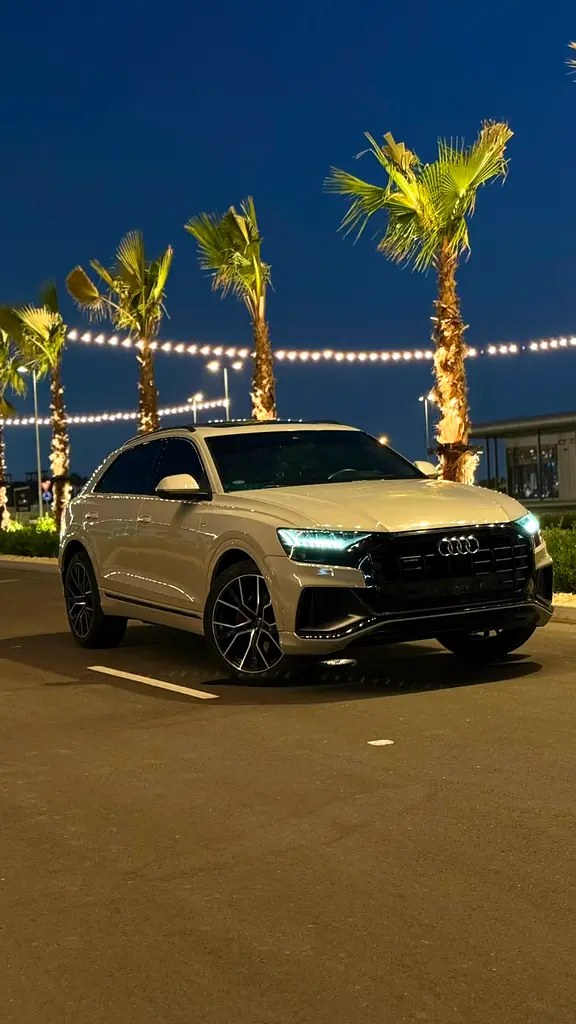 Audi Q8 2022 — photo 1 of 18