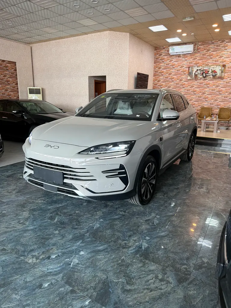 BYD Song Plus 2025 — photo 1 of 8
