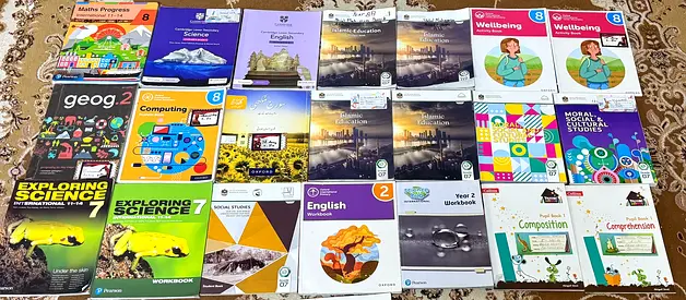School Textbooks and Workbooks (Primary/Secondary)