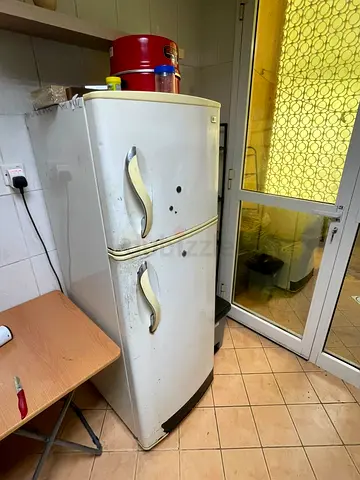 LG double-door refrigerator