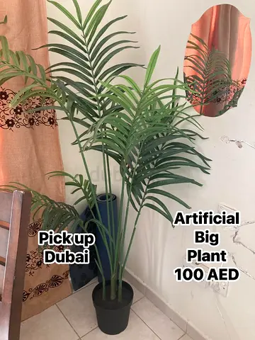 Article Plant