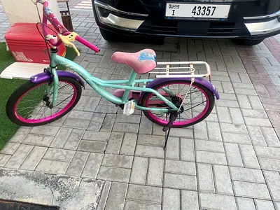 Girls 20-inch Kids Bicycle with Rear Rack and Training Wheels