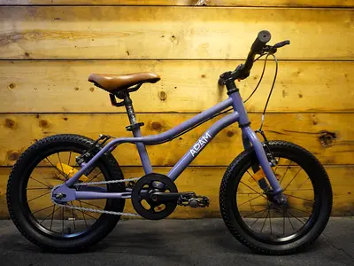 The Dutch Style Adam City Bike