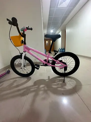 RoyalBaby Pink Bicycle
